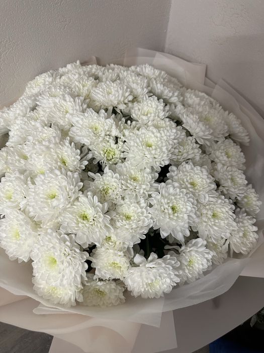 Цветы 101 шт белые хризантемы