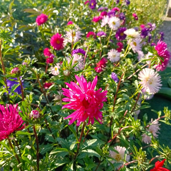 Отличная дача с банькой!