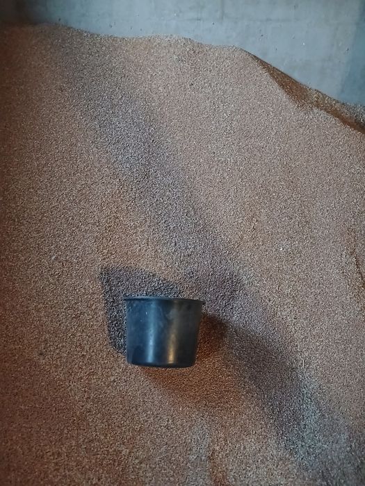 Vând porumb uscat 1leu kg..Grâul la 1.2 leu