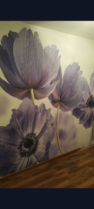 Качественная поклейка обоев