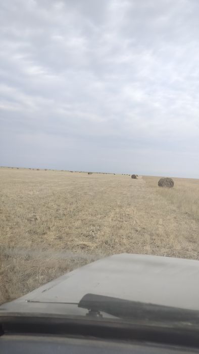 Продам Рулонны сено 110 Прф