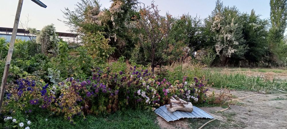 Үй сатылады. Продается дом