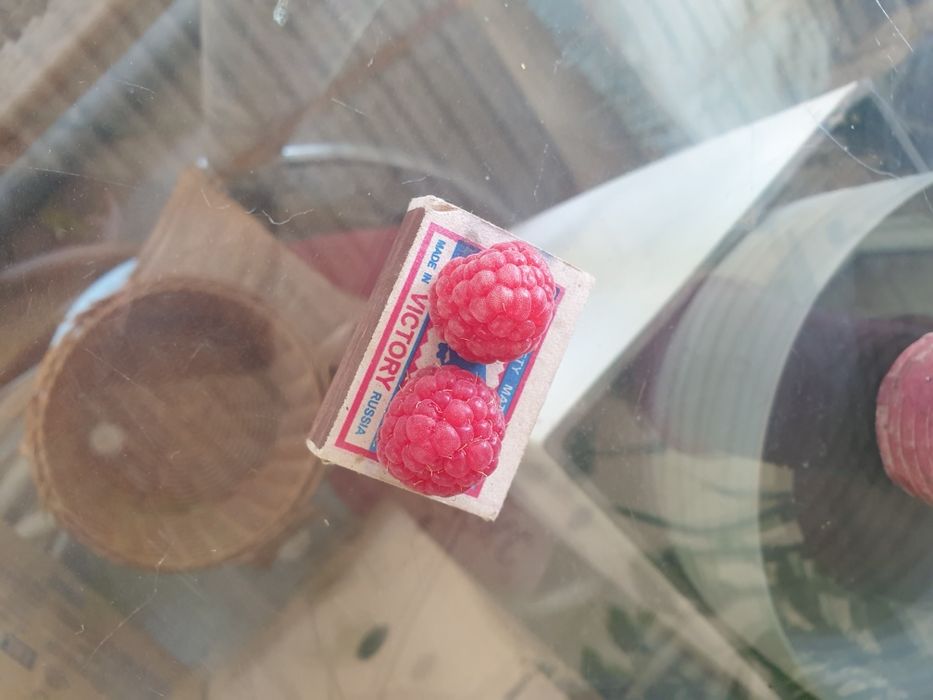 Саженцы Малины крупной домашней