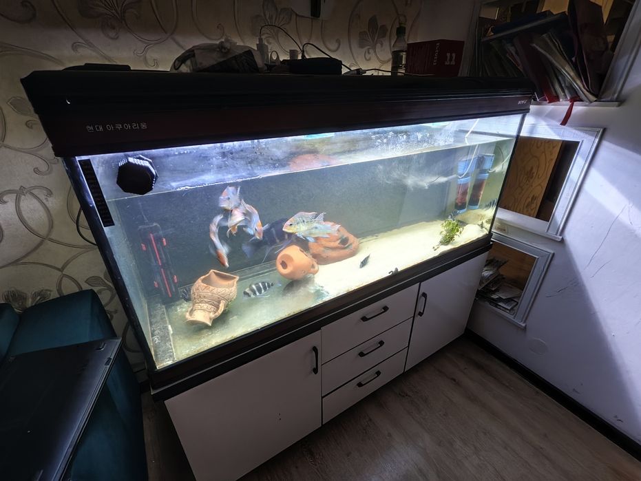 Продам аквариум 500 литров