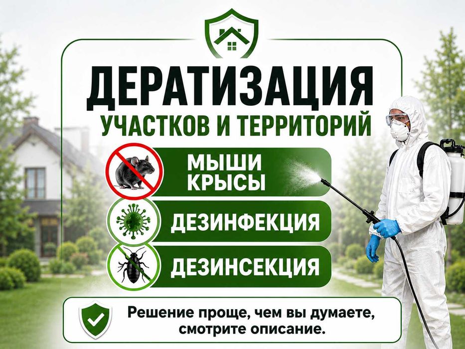 Дератизация участков и территорий Мыши крысы Дезинфекция Дезинсекция