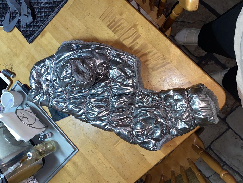 Костюм для собаки