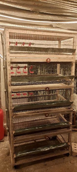 Бөденеге арналған клетка сатылады (перепелиные клетка)