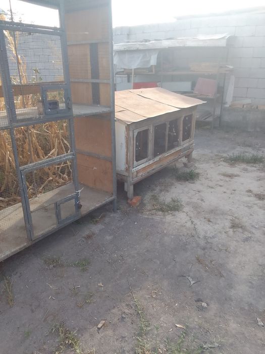 Клеткалар сотилади