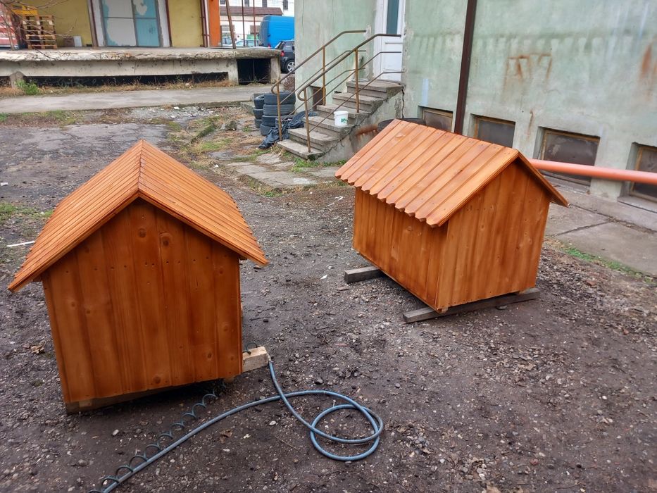 Cusca pt căței talie mică și mare