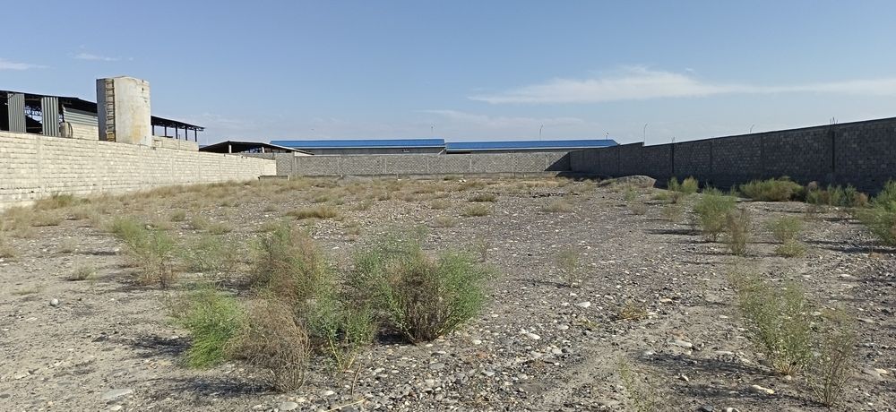 saonat zinasida 30sotix yer sotiladi
