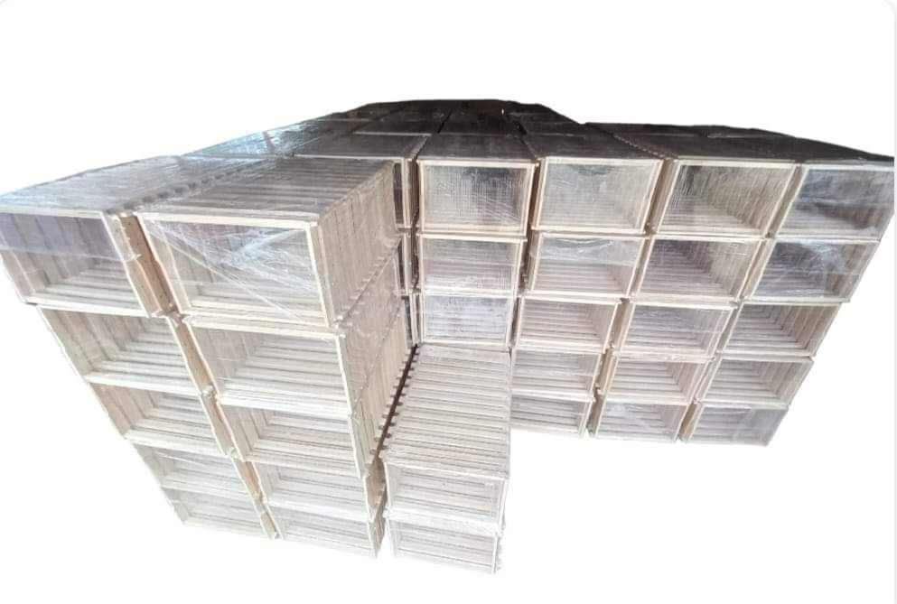 Rame tei 1/1 si 1/2 asamblate insirmate si capsate