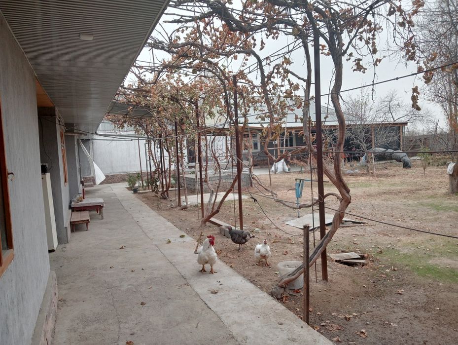 Uy sotiladi 1 sotix uchun 20000$