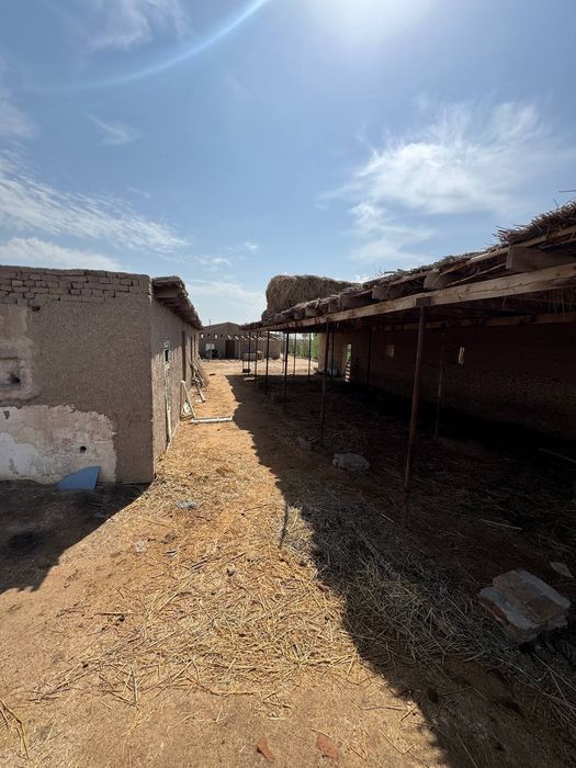 Ферма турор жой 6600 кв +3000кв ер