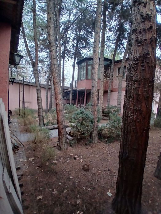 ПРОДАЁТСЯ Дом м. Пушкина ремонт, место подходит под Гостиницу!