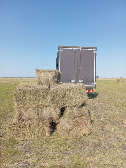 Сено в тюках шоп