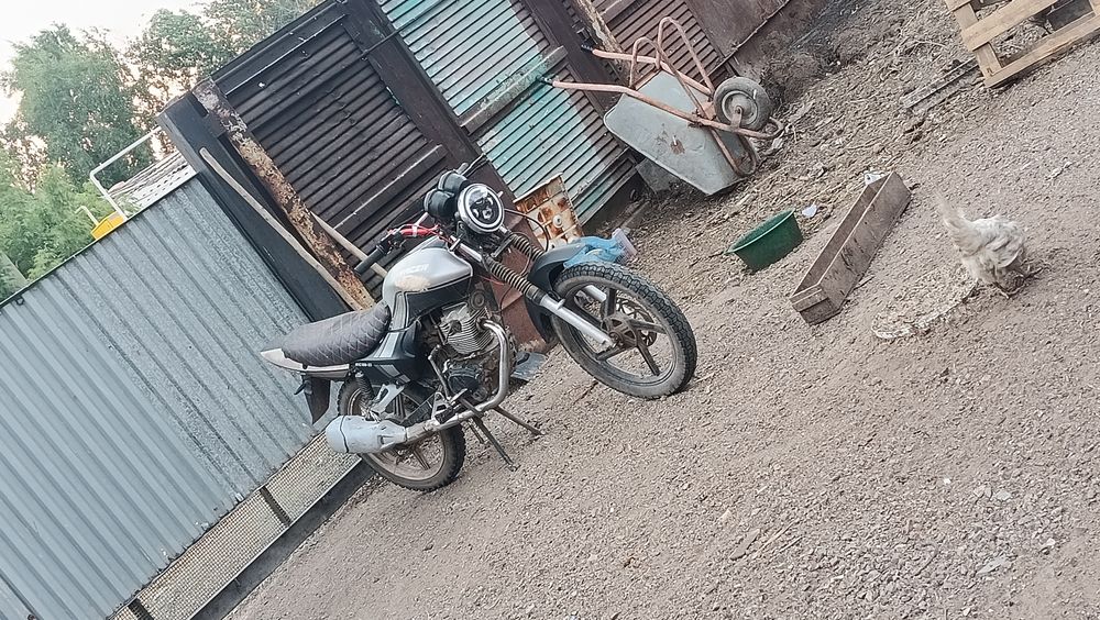 Racer Tiger 150-23