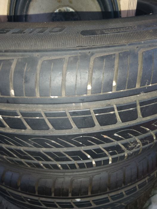 Продам ризину 16р