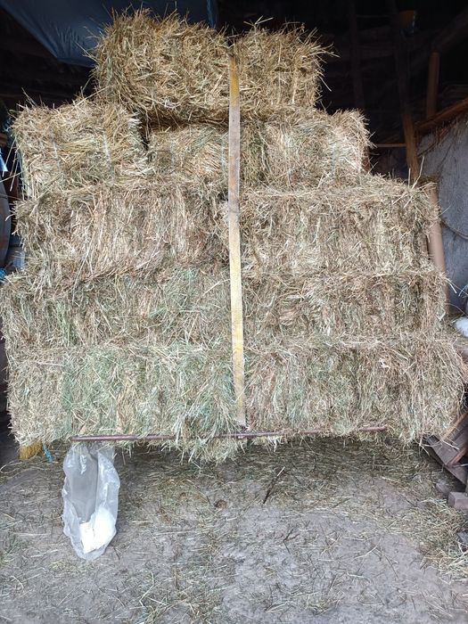 Vand baloti de fan si otava an 2025