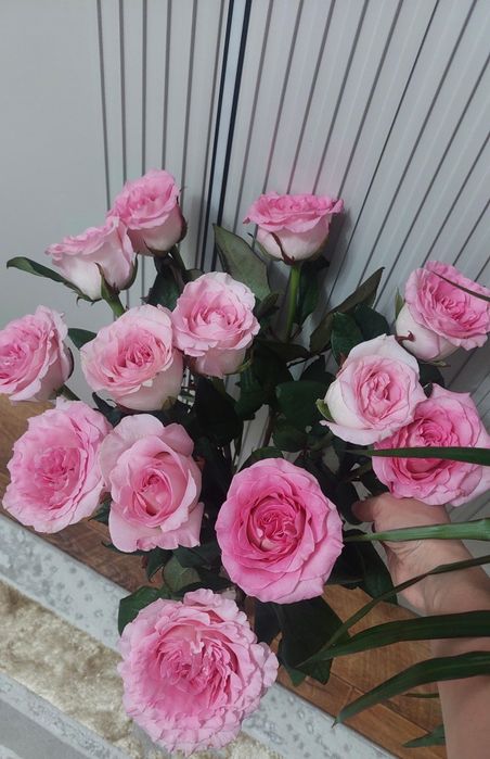 Цветы букет из 13 роз