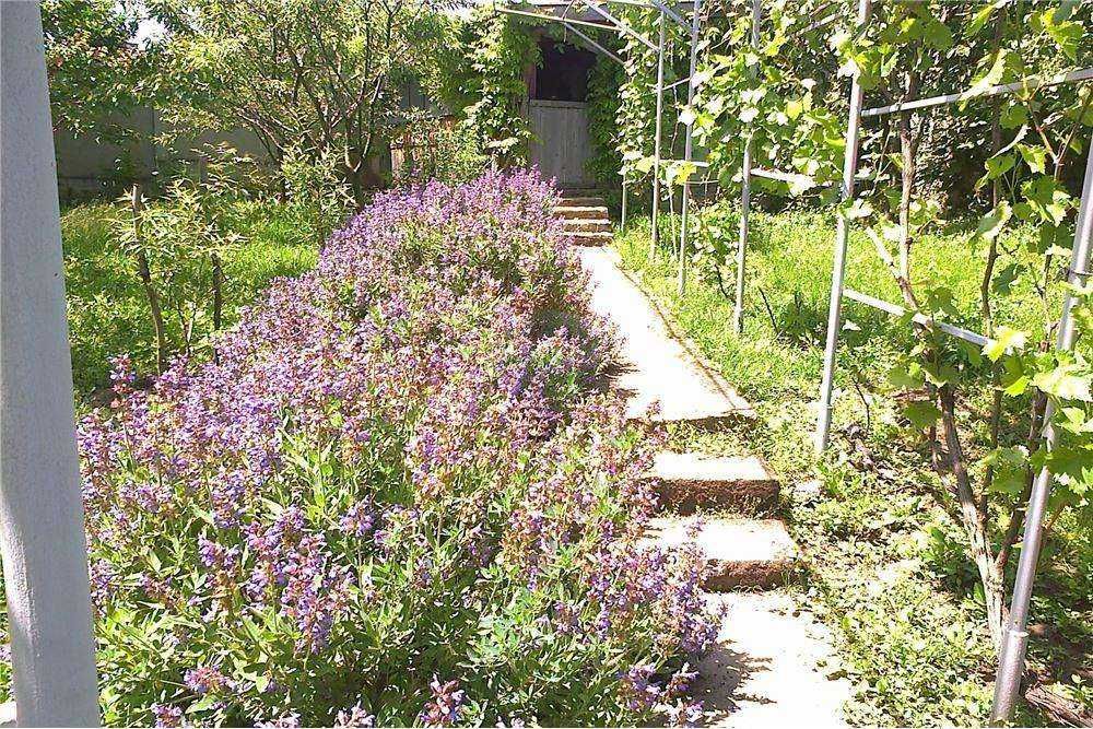 Продава се Къща в с. Червена вода, Област Русе - 360 кв.м за 864 €/кв.м - Снимка #9