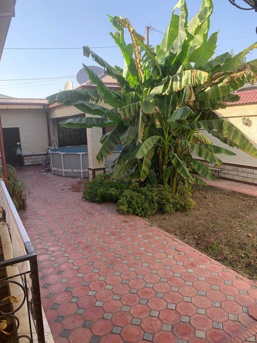 сдается дом рядом с американской школой TIS