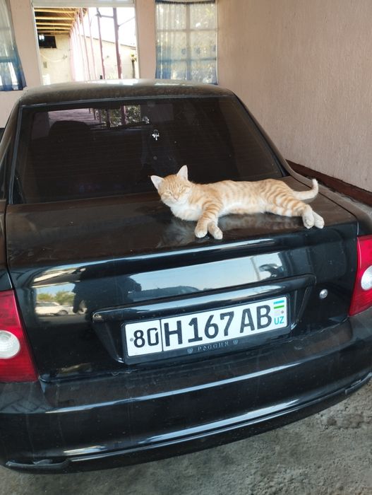 Lada priora sotiladi