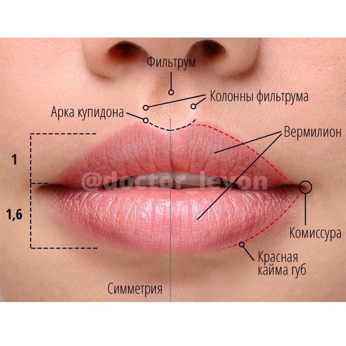 Акция увеличение губ 55$ перманентный макияж губ и бровей
