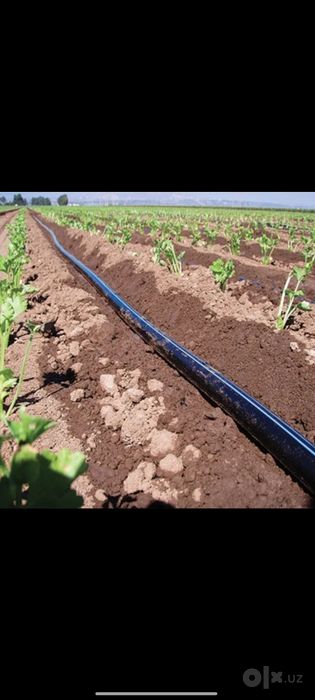 Tomchilatib suğorish lentalari sotiladi