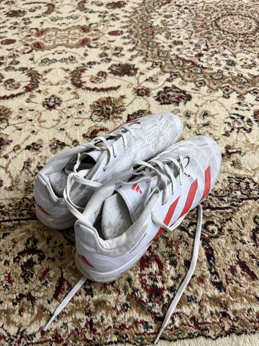 Обменяю сороконожки