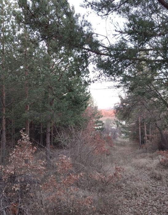 Продава се Парцел в Дупница - 960 кв.м за 15 €/кв.м - Снимка #3