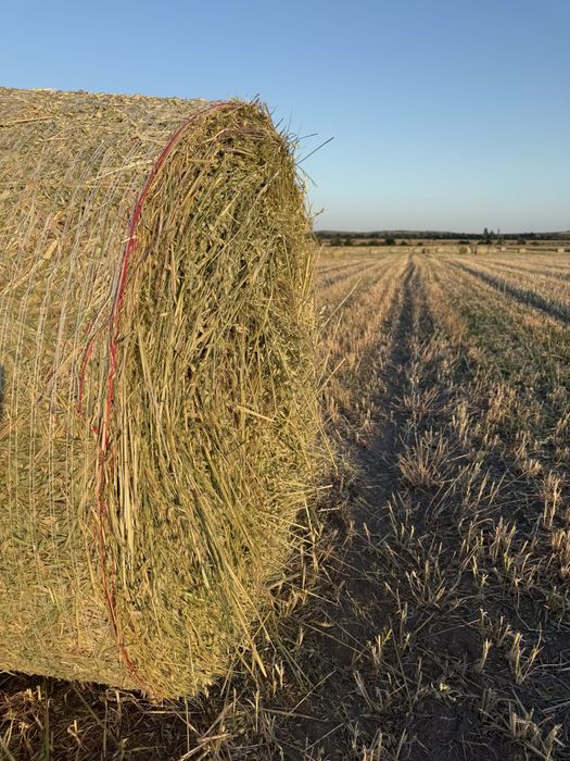 Рулонни бали люцерна,ливадно сено,просо,овес и др.!