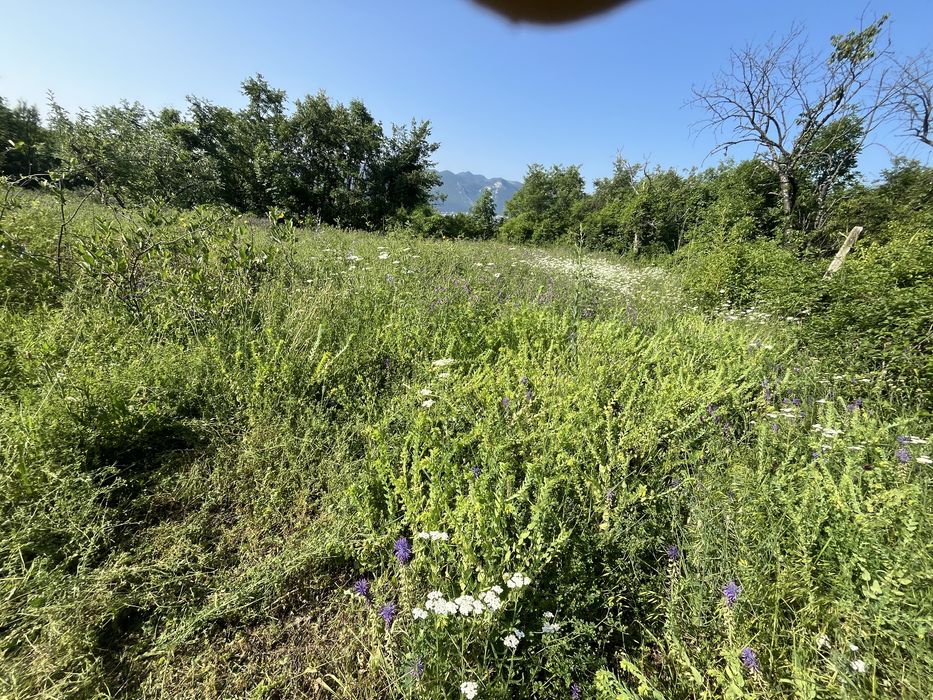 Косене на трева,чистене на имоти,поддръжка на градини