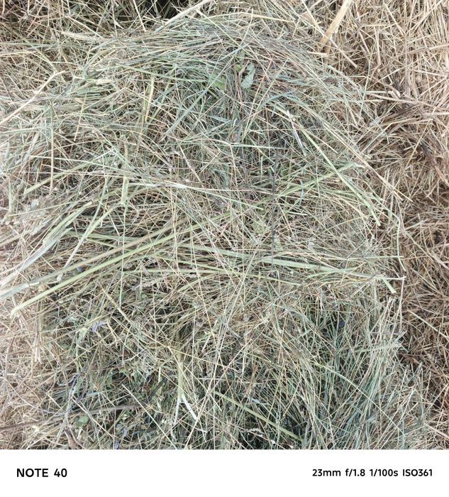 Привет всем продам сено