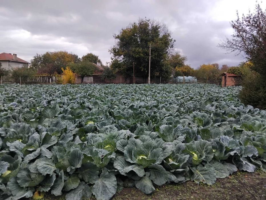 Голям двор с 3 отделни постройки