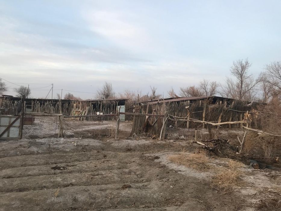 Фазенда сатылады