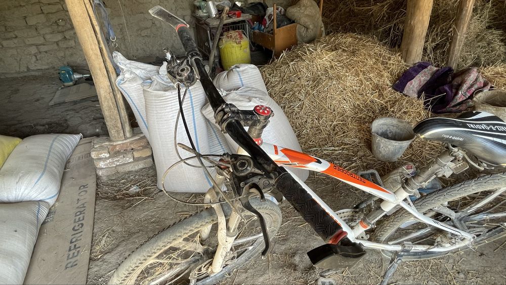 Velik , velosiped