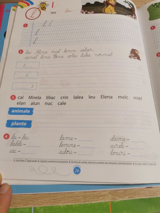 Lot caiete de lucru, manual cu cd și culegere, noi, clasa 1