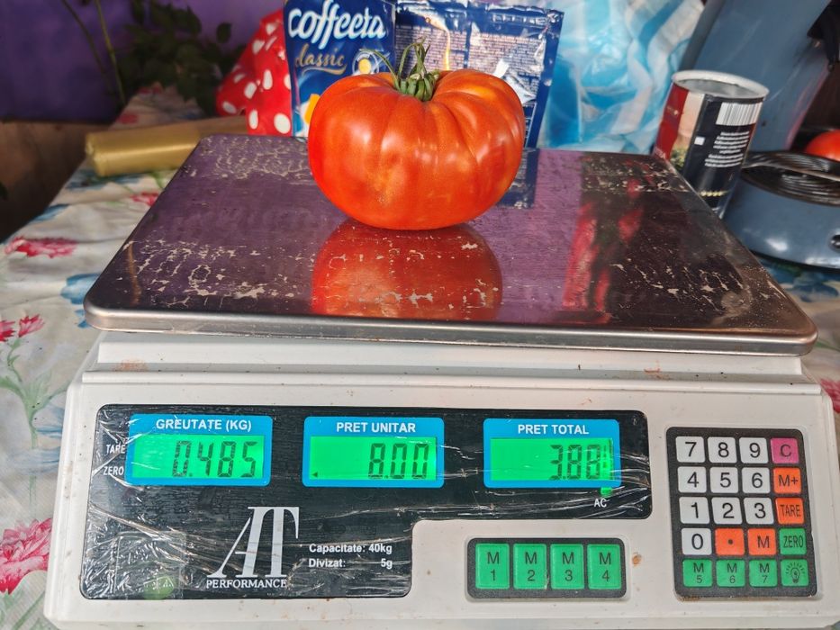 Vând Roșiii Proaspete Culese Din Solar Preț 10 lei KG