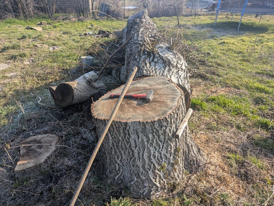 Цял дънер от орех