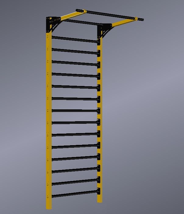 Шведская стенка; турник; брусья; 3в1