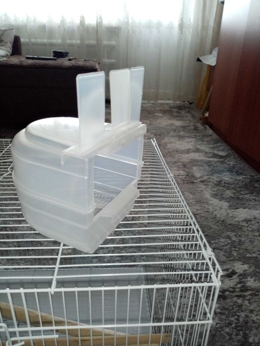 Клетка для птиц. Попугай голубь.