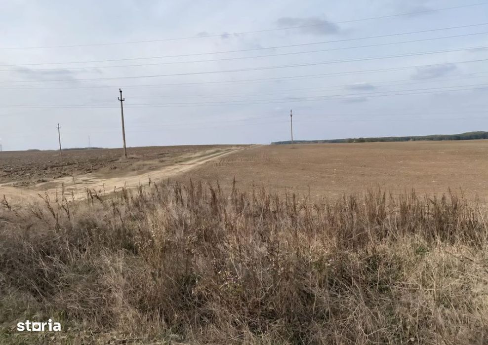 Teren extravilan 5000mp, Malu Mare, 0 comision la cumparator