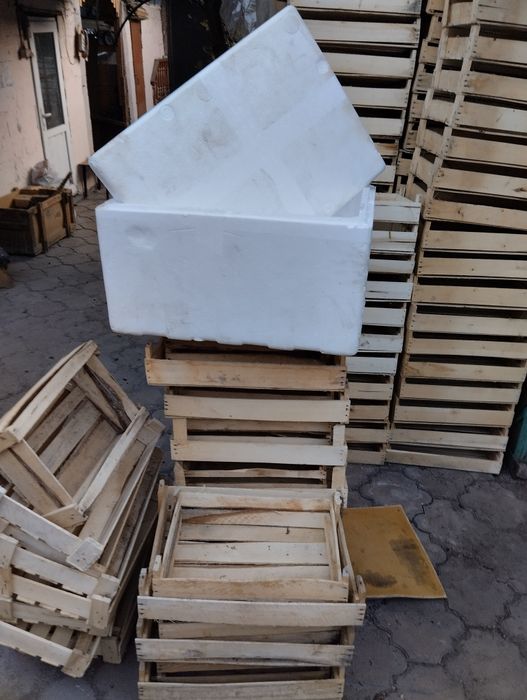Продам ящики пенопласт