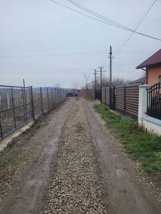 Vând loc de casă în localitatea Trușești la 30de kilometri de Botoșani