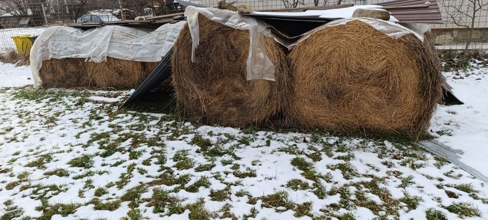 Baloți rotunzi de fân