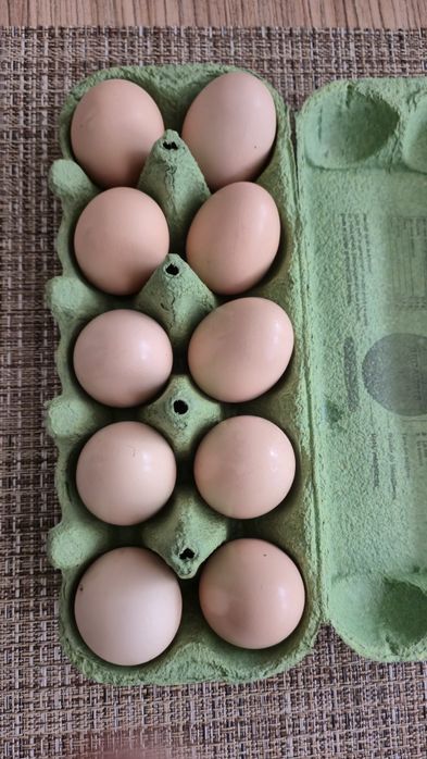 Oua proaspete/incubat-gaini australop