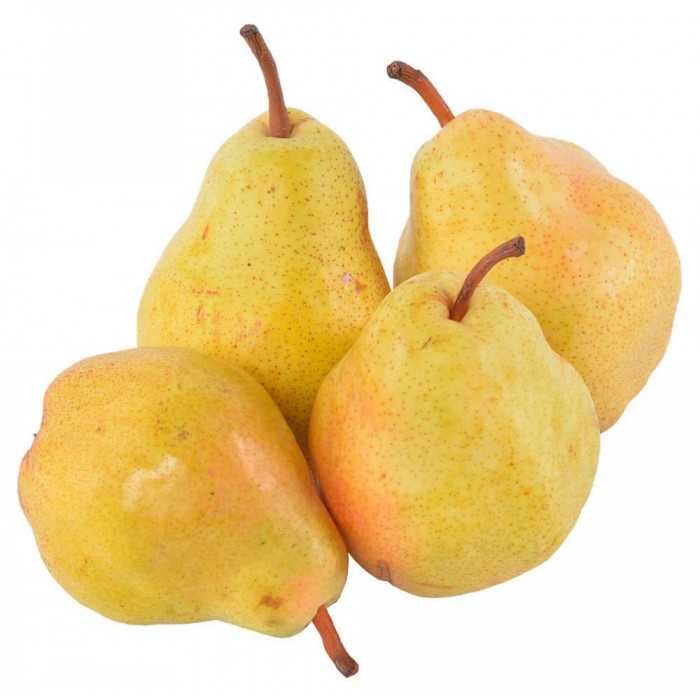 Ko'chat | Nixol | Кучат Оптом