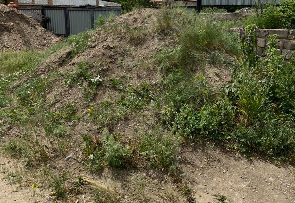 Дресва самовывоз