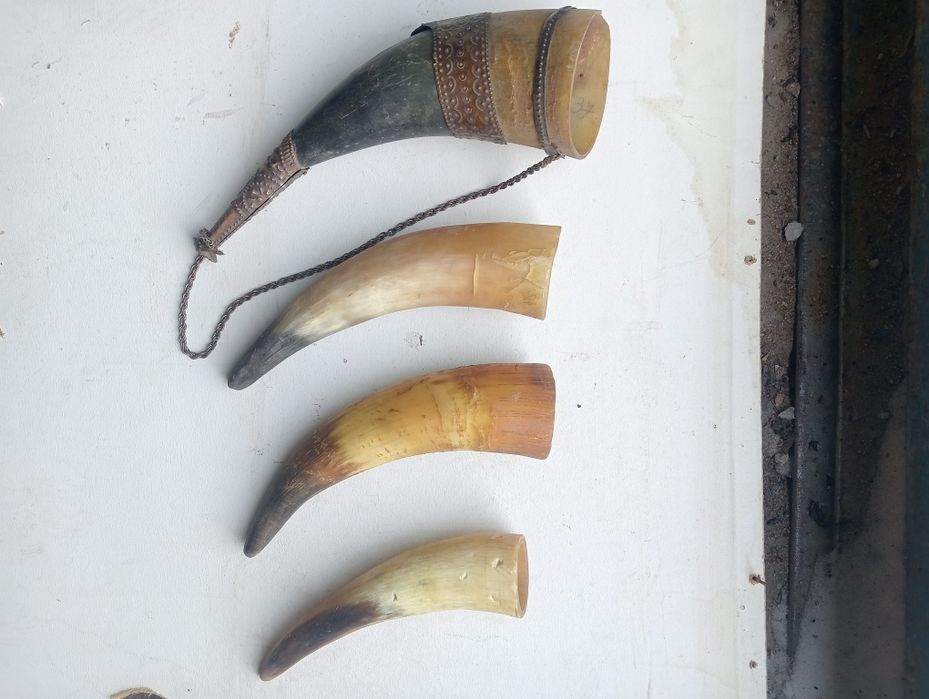 Продам   сувениры  рога