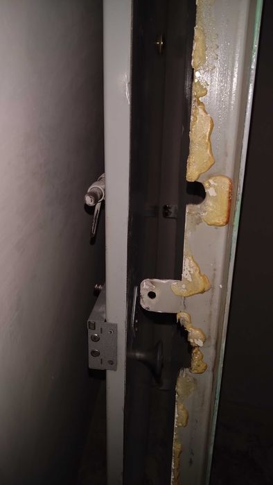 дверь металлическая входная